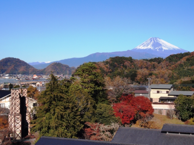 展望台からの眺め