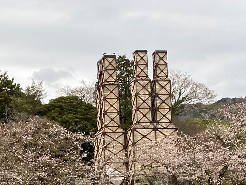 桜の中の韮山反射炉