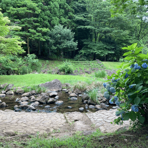 市民の森浮橋川辺